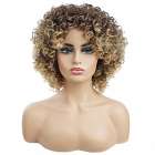 Pruik afro kroes krullend haar vol volume