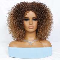 Pruik afro kleine spiraalkrullen schouderlang model 1037 kleur T33-27